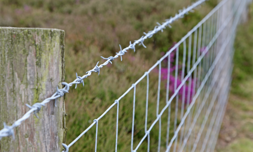 Farm wire fence