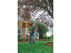Stihl HTA 50 Cordless Pole Pruner with AK20 & AL101