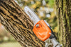 STIHL HT56C Pole Pruner