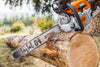 STIHL MS291 Chainsaw 18